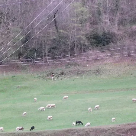 De L'yse Bat C Tarif Special Cure 21 J * Luz-Saint-Sauveur