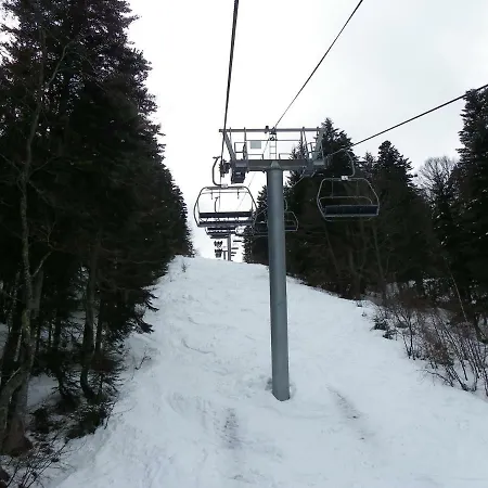 De L'yse Bat C Tarif Special Cure 21 J *