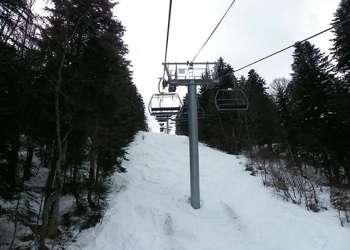 De L'yse Bat C Tarif Special Cure 21 J *